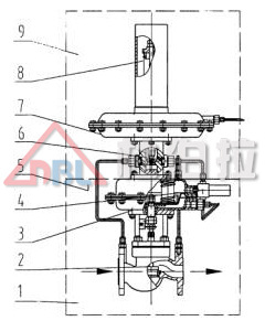 11064185867_450756143.jpg undefined